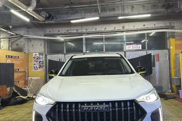 Основное фото HAVAL X1