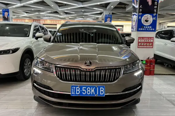 Основное фото SKODA KAROQ